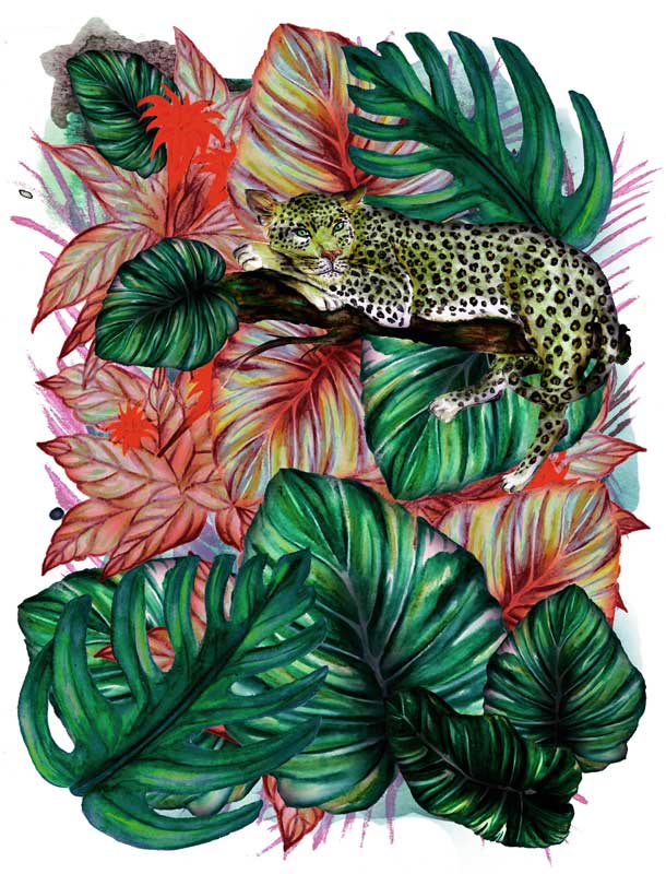 Juliette Seban – Jungles – Le léopard