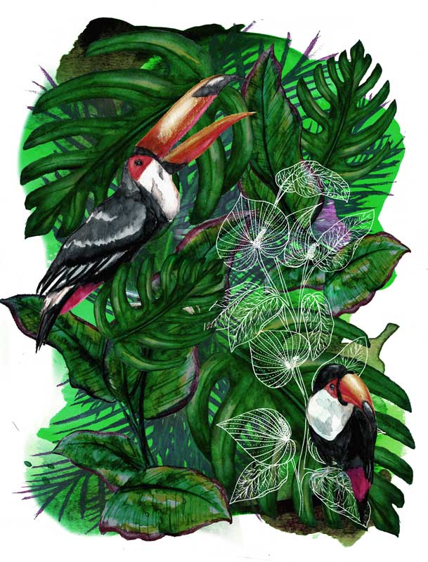 Juliette Seban – Jungles – Le toucan