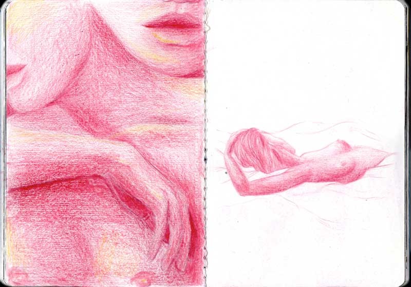 Juliette Seban – Carnet de croquis – Roses